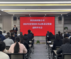 四川再擔(dān)保召開(kāi)2024年度黨組織書(shū)記抓基層黨建工作述職評(píng)議會(huì)